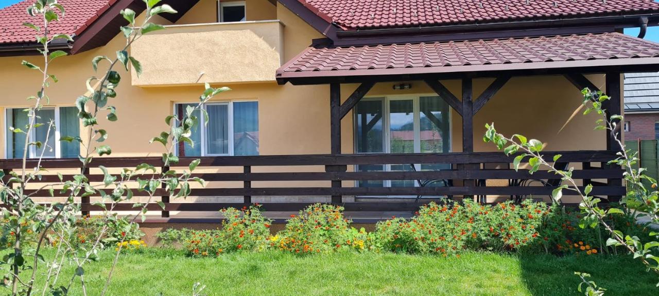 Carpen View Residence Săcele Exteriör bild