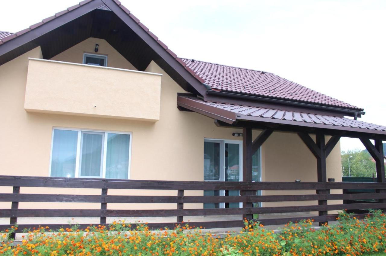 Carpen View Residence Săcele Exteriör bild