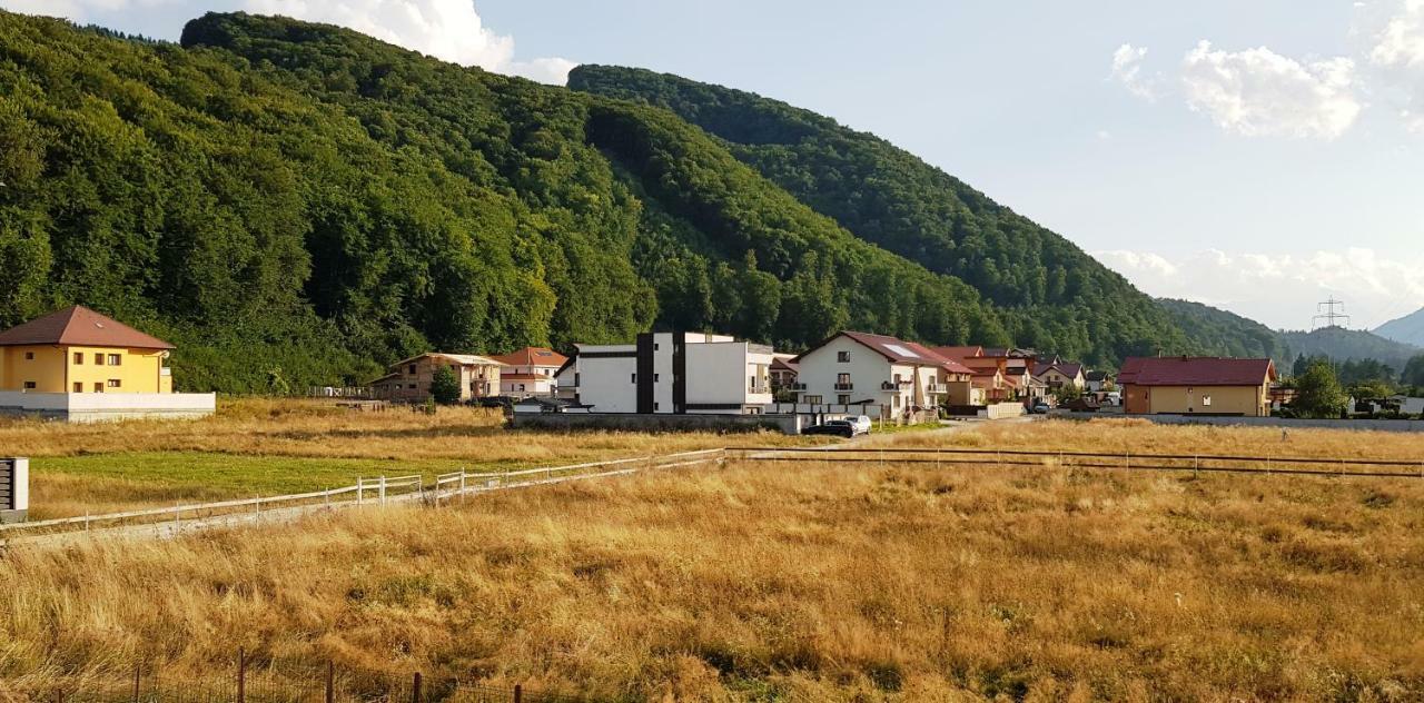 Carpen View Residence Săcele Exteriör bild